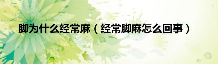 脚为什么总会麻（脚为什么经常麻木）