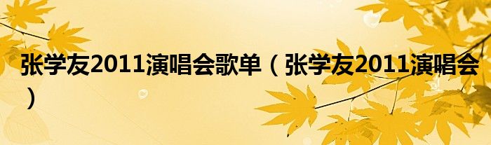 张学友2006演唱会完整版（张学友2016年演唱会歌单）