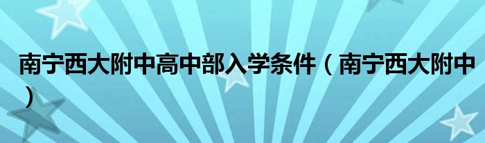 2021南宁西乡塘区烟花销售点（2021南宁西大附中入学条件）