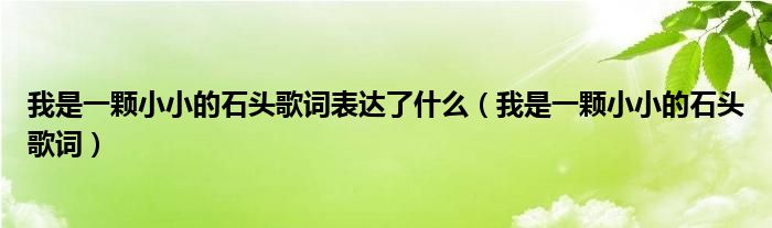 我是一颗小小的石头歌词完整版（我一颗小小的石头是哪首歌的歌词）