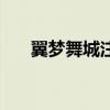 翼梦舞城注册原因怎么写（翼梦舞城）
