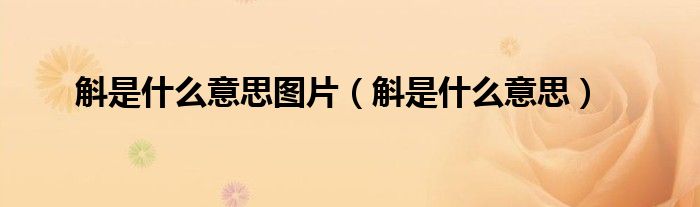 斛的含义是什么意思（斛的意思是什么）