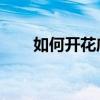 如何开花店 流程怎样（如何开花店）