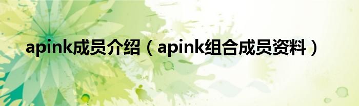 apink成员名字（apink成员英文名）