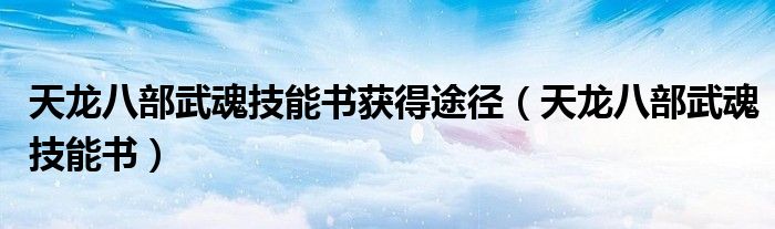 天龙八部武功最高的人是谁（天龙八部武魂技能书）