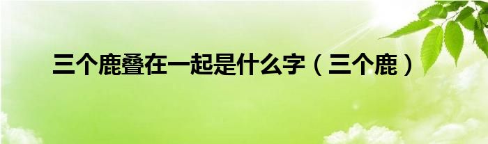 三个鹿加起来是什么字（三个鹿叠在一起是什么意思）