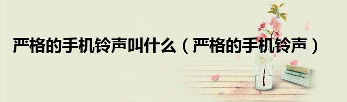 手机 严守一（严格的手机铃声电视剧）