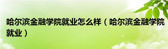 哈尔滨金融学院毕业生去向（哈尔滨金融学院好找工作吗）