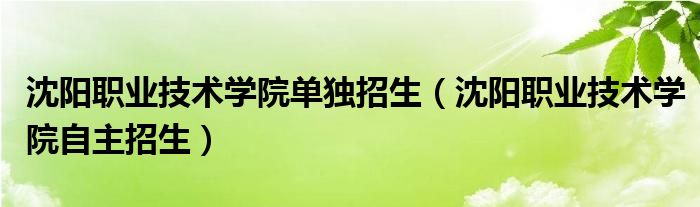 沈阳职业技术学校有哪些专业（沈阳职业技术学院单招简章）