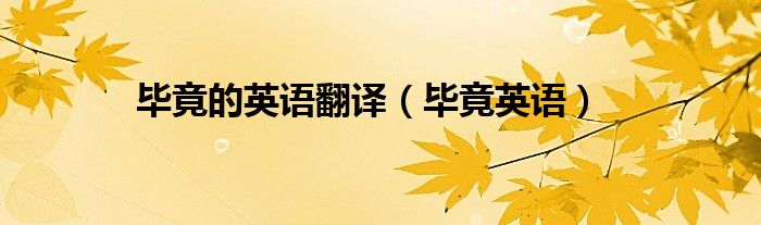 毕竟用英文怎么说（毕竟用英文怎么写）