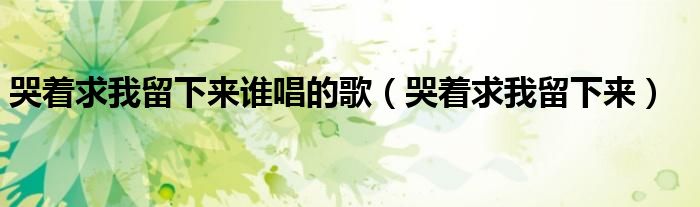 哭着求你留下来歌词（哭着求我留下来伴奏）