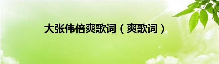 我想听大张伟唱的倍儿爽（倍儿爽大张伟歌词）