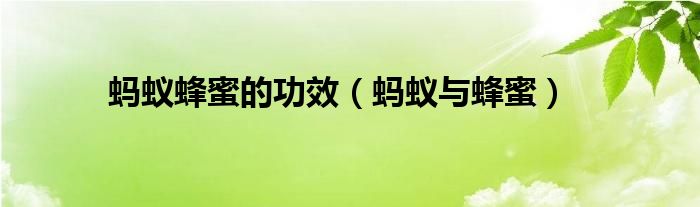 蚂蚁加蜂蜜功效（蚂蚁配蜂蜜）