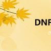 DNFapp有哪些（dnfap）