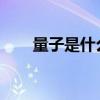 量子是什么意思!（量子是什么意思）