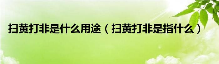 扫黄打非中的打非主要包括什么（扫黄打非是什么）
