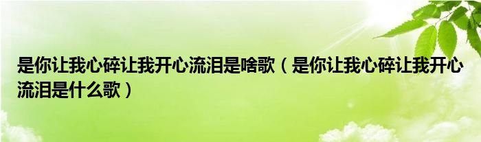 是你让我心碎让我开心流泪是啥歌（是你让我心碎让我开心流泪是什么歌）