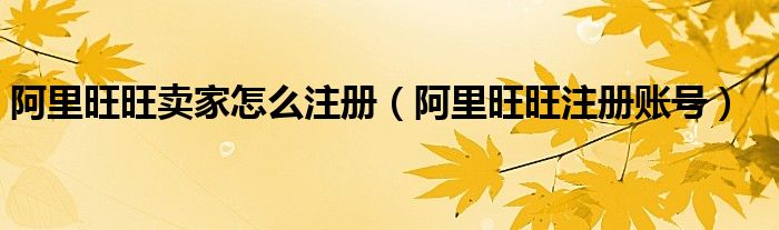 如何注册阿里巴巴国际站店铺（如何注册阿里卖家）
