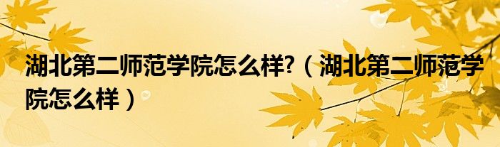 湖北第二师范学院简介（湖北第二师范学院好吗）
