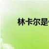林卡尔是什么东西（林卡尔是什么）