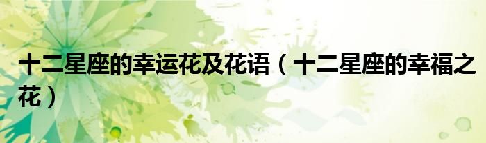 十二星座专属马尾（十二星座专属守护花和花语）