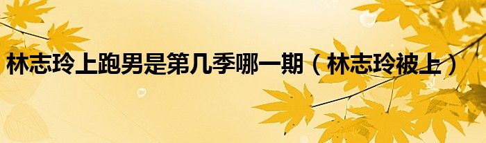 林志玲参加日本节日（林志玲参加跑男是哪一季）