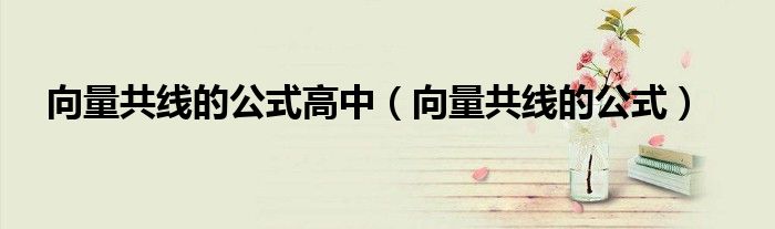 向量共线的公式（高中向量共线定理）