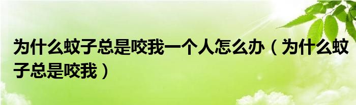为什么蚊子咬了会有红点点（为什么蚊子总是咬我一个人）