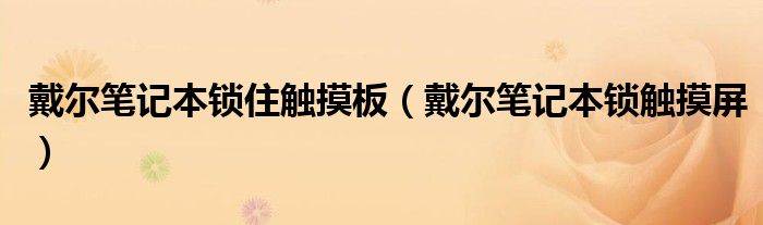 戴尔笔记本电脑锁住手写板快捷键（戴尔笔记本锁鼠标）