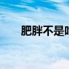 肥胖不是吃主食的错 科学减脂的关键