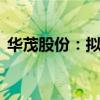 华茂股份：拟回购股份4800万元-9600万元