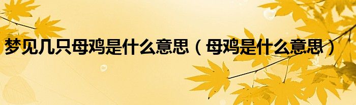 梦见很多母鸡下蛋是什么征兆（梦见几只母鸡是什么意思）