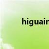 higuain阿根廷9号（阿根廷9号）