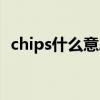 chips什么意思啊了（chipset是什么意思）