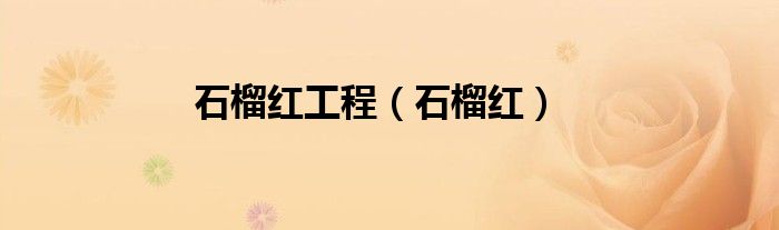突尼斯石榴红还是牡丹石榴红（石榴红村石榴红观赏园）