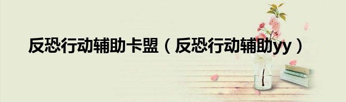 反恐行动辅助专区（反恐行动卡刀）