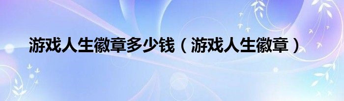 游戏人生logo（游戏人生徽章多少钱）