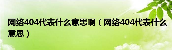 网络404一般是哪里的问题（404网络语言代表什么意思）