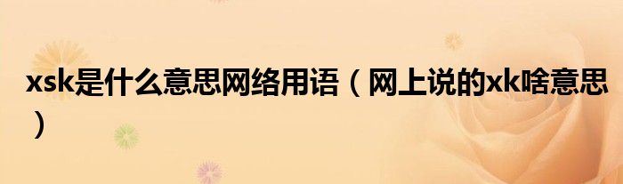 sk和ks是什么意思（xk和sk是什么意思）