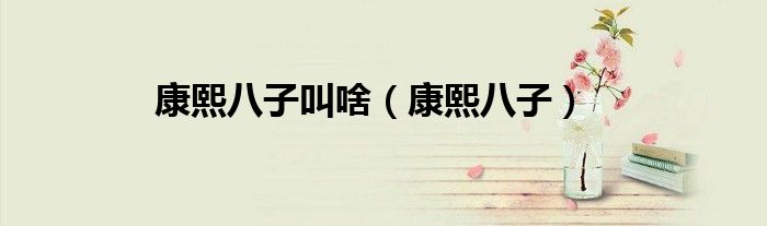 康熙八子的结局（康熙皇八子）