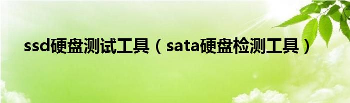 ssd硬盘测试工具（ssd硬盘检测用哪个好）