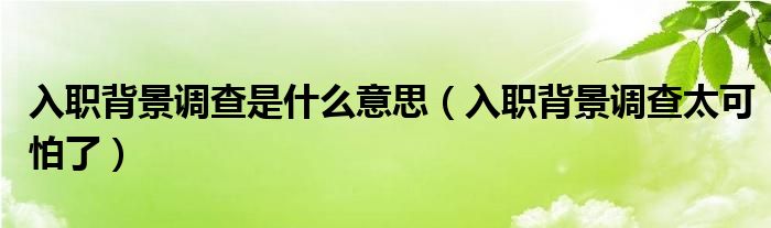 入职背景调查一般调查什么（入职背景调查一般调查什么）