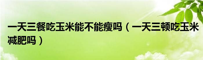 一天吃一顿玉米加鸡蛋可以吗（一天三餐吃玉米可以吗）