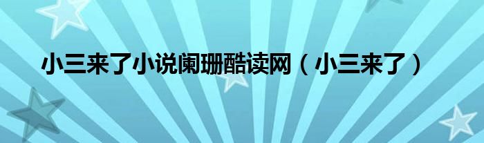 小三来了小说（小三来了阑珊）