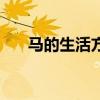 马的生活方式和特点（马的生活习性）