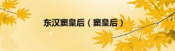东汉 窦皇后（汉代窦皇后）