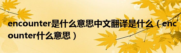 encounter什么意思网络用语（encounter是什么意思）