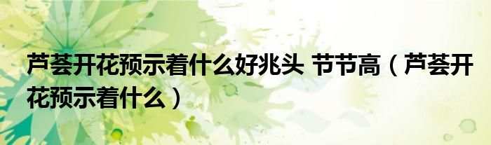 芦荟开花的预兆有哪些（芦荟开花的预兆）