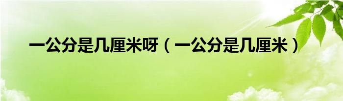 一公分等于多大（请问一公分是几厘米）