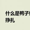 什么是鸭子综合征 ：表面沉稳自若暗里较劲挣扎